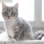 Destiney Buckridge Profile Picture