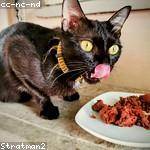 Ezekiel Huel Profile Picture