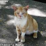 Armani Kiehn Profile Picture