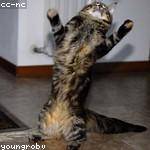 Austin Deckow Profile Picture