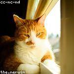 Marilyne Kuvalis Profile Picture