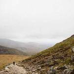 Dangelo Schaefer Profile Picture