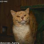 Jadyn Ryan Profile Picture