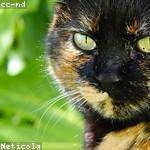 Margret Hartmann Profile Picture