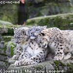 Hermina Bruen Profile Picture