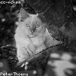 Dante Jacobi Profile Picture