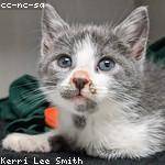 Janae Spinka Profile Picture