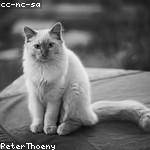 Gerhard Marvin Profile Picture