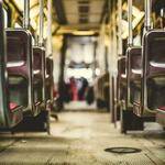 Ivy Graham Profile Picture