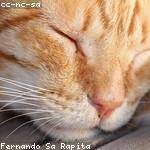 Donavon Kassulke Profile Picture