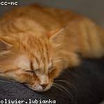 Jasper Nader Profile Picture