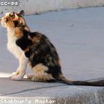 Natalie Ryan Profile Picture