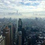 Ana Satterfield Profile Picture