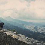 Vince Schaden Profile Picture