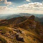 Bud Connelly Profile Picture