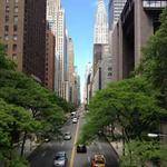 Vita Gutkowski Profile Picture