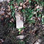 Ignacio Bruen Profile Picture