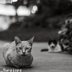 Evangeline Murphy Profile Picture