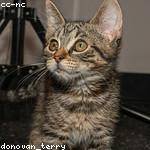 Zechariah Walker Profile Picture