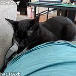 Helena Ledner Profile Picture