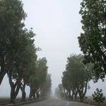 Caterina Mohr Profile Picture