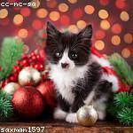 Tabitha Hickle Profile Picture