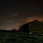 Laurie Dibbert Profile Picture