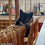 Willy Veum Profile Picture