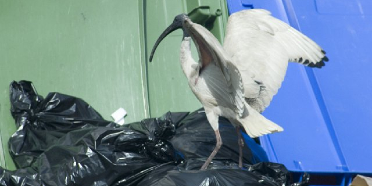 Meet the People Behind the Play