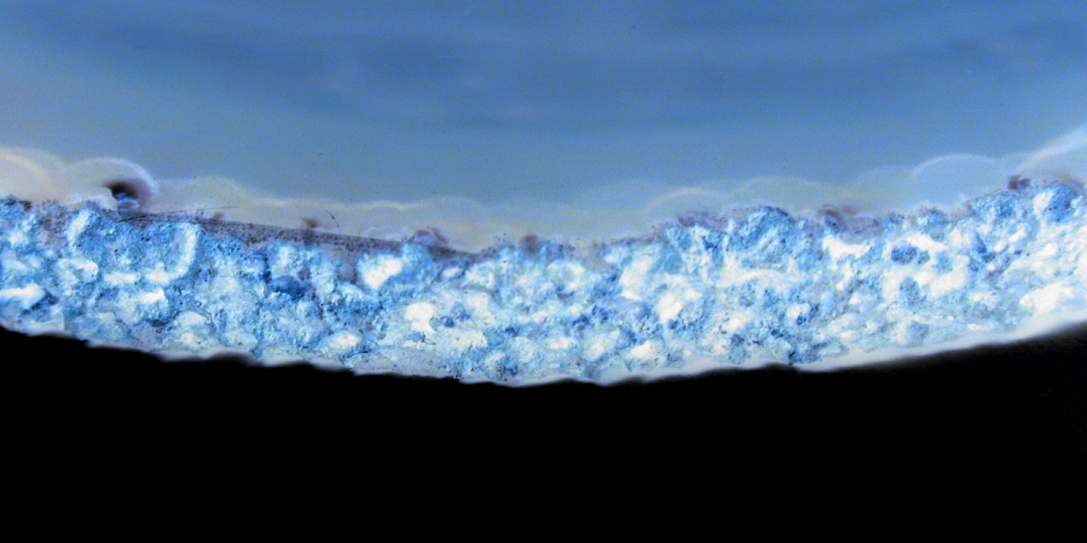 All Casinos with Slot machines NEAR ME