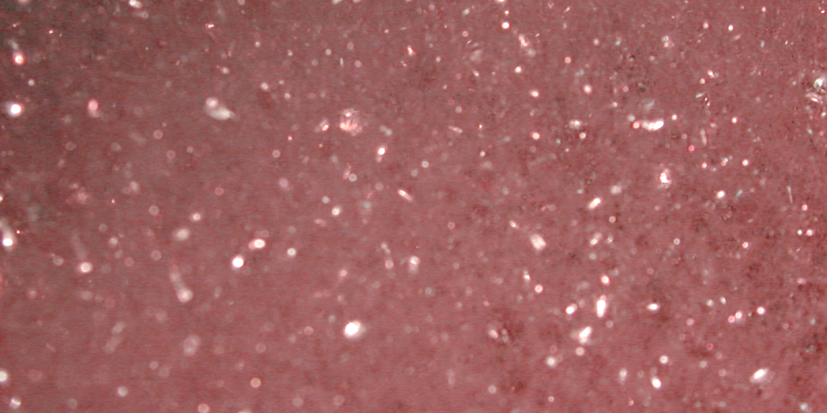 Secure Access to Your Gaming Account