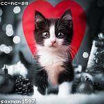 Thelma Vandervort Profile Picture