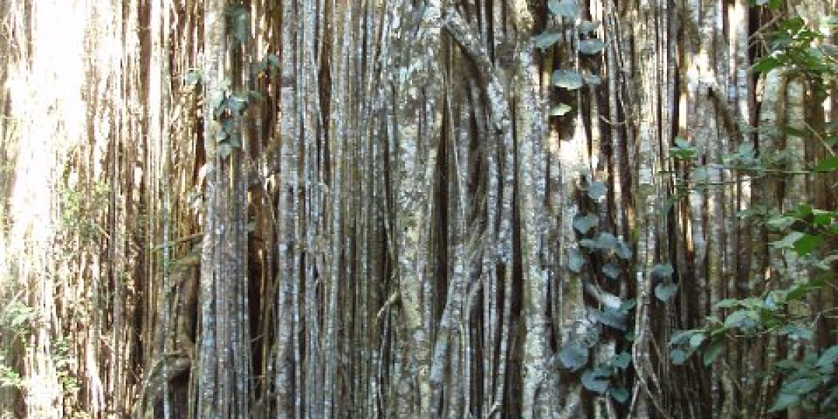 15 Best Online Casinos Australia 2025 Real Money Casino Sites