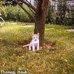 Lawrence Botsford Profile Picture