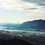 Amalia Pfeffer Profile Picture