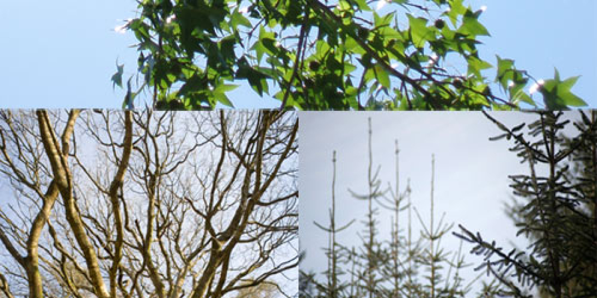 15 Best Online Casinos Australia 2025 Real Money Casino Sites