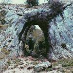 Onie Osinski Profile Picture