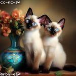 Haskell Russel Profile Picture