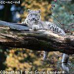 Leonora Hodkiewicz Profile Picture