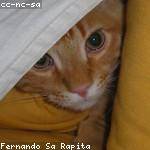 Elisabeth Schinner Profile Picture