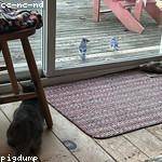 Ali Hill Profile Picture