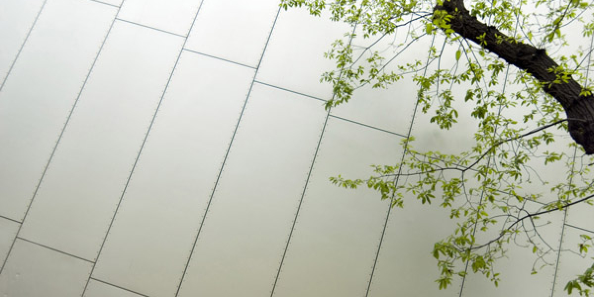 Meet the People Behind the Play