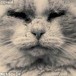 Tamia Witting Profile Picture