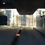 Shana Schultz Profile Picture