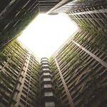 Kacey Wilkinson Profile Picture