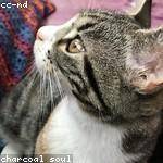 Rod Weber Profile Picture