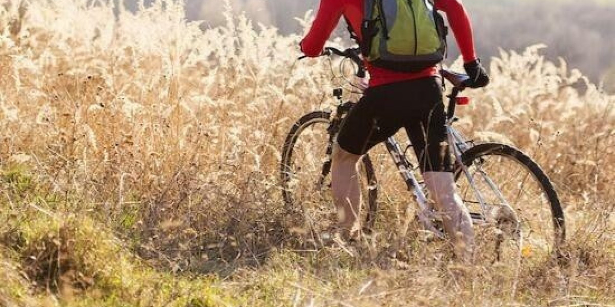 1xbet Bonus Code for Nigeria: UBASO - Up to N600,000 Bonus